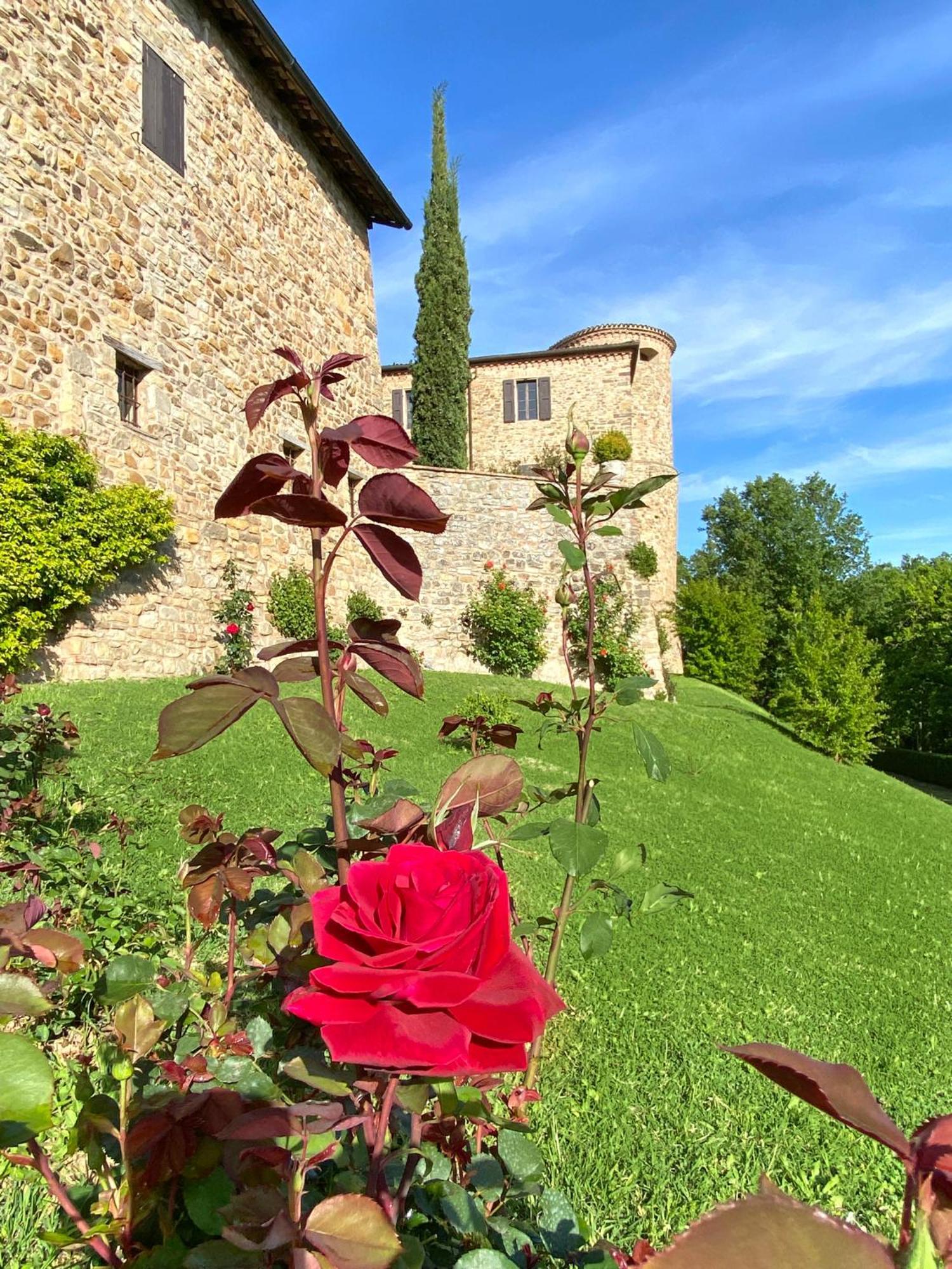 Вилла Castello Di Viano Экстерьер фото