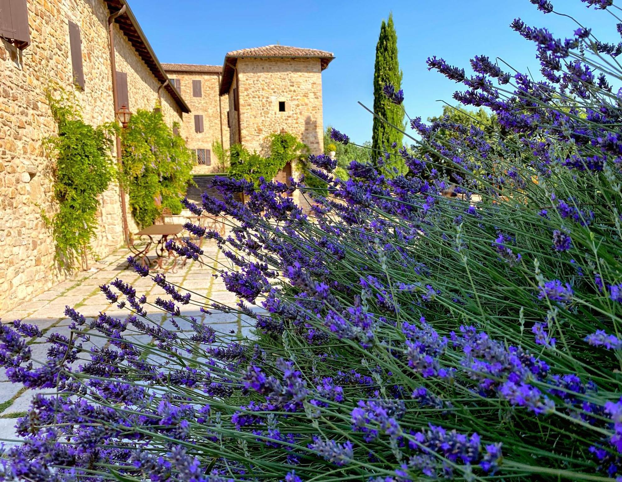 Вилла Castello Di Viano Экстерьер фото